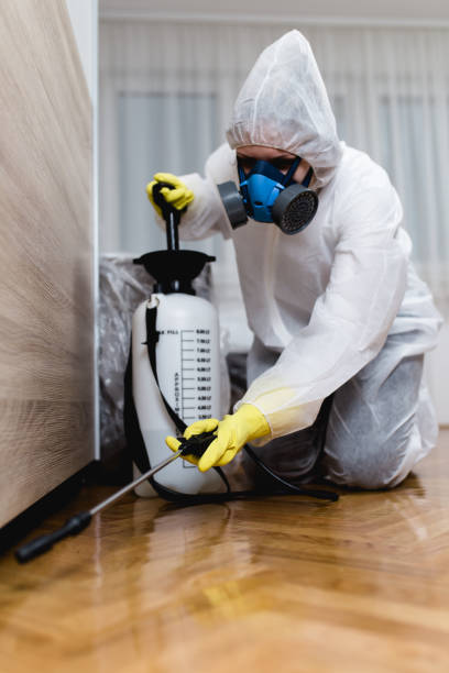 Best Residential Pest Control  in Bling, AR